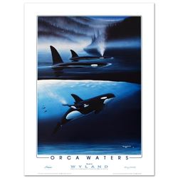 Orca Waters by Wyland