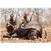 Image 1 : Legadema Hunting Safaris - Cape Buffalo, Hippo & Crocodile (12-16 ft) - Mozambique