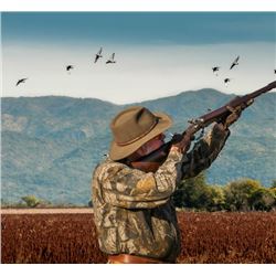 OC Outfitters - Dove Hunt - Argentina