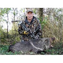 Anuritay Ranch - Rusian Boar, Multihorned Ram, Goat - Argentina