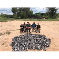 L&S Hunting Safaris - High Volume Dove Hunt - Argentina