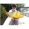 Image 1 : Black River Outfitters - Dorado Fishing - Uruguay