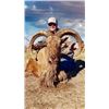 Image 1 : Heart of Texas Outfitters -Aoudad Hunt - Texas