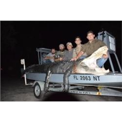 God’s Country Outfitters -Gator & Hog Hunt - Florida