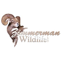 Zimmerman Wildlife Taxidermy Cert.
