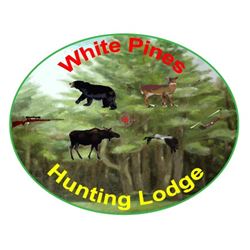 New Brunswick Black Bear