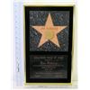 Image 2 : Jim Nabors Hollywod Walk of Fame Star 1991 Induction Plaque
