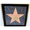 Image 4 : Jim Nabors Hollywod Walk of Fame Star 1991 Induction Plaque