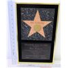Image 6 : Jim Nabors Hollywod Walk of Fame Star 1991 Induction Plaque