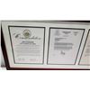 Image 2 : Framed Jim Nabors 2009 American Patriot Awards: State of Hawaii, U.S. Senate, U.S. Congress, House o