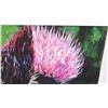 Image 2 : Giclee Artwork, Signed, Ltd. Ed. "Fairy Broom" 9/15, Artist Linda V.G. Kelley, 20" x 24"
