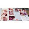 Image 1 : Multiple Jim Nabors Loose Photos - Carol Burnett, Florence Henderson, etc