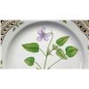 Image 3 : Royal Copenhagen Flora Danica  7-Pc Set: Dinner, Salad, Bread-and-Butter Plates, Soup Cup, Teacup & 