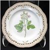Image 2 : Royal Copenhagen Flora Danica  7-Pc Set: Dinner, Salad, Bread-and-Butter Plates, Soup Cup, Teacup & 