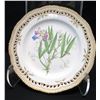 Image 2 : Royal Copenhagen Flora Danica  7-Pc Set: Dinner, Salad, Bread-and-Butter Plates, Soup Cup, Teacup & 