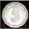 Image 8 : Royal Copenhagen Flora Danica  7-Pc Set: Dinner, Salad, Bread-and-Butter Plates, Soup Cup, Teacup & 