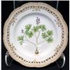 Image 2 : Royal Copenhagen Flora Danica  7-Pc Set: Dinner, Salad, Bread-and-Butter Plates, Soup Cup, Teacup & 