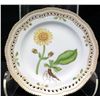 Image 2 : Royal Copenhagen Flora Danica  5-Pc Set: Dinner, Salad, Bread-and-Butter, Teacup & Saucer