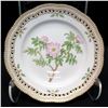Image 2 : Royal Copenhagen Flora Danica  5-Pc Set: Dinner, Salad, Bread-and-Butter, Teacup & Saucer