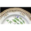 Image 2 : Royal Copenhagen Flora Danica Plate 10" Dia. (20 of 3553)
