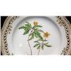 Image 2 : Royal Copenhagen Flora Danica Plate 10" Dia. (20 of 3553)