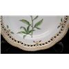 Image 2 : Royal Copenhagen Flora Danica Plate 10" Dia. (20 of 3553)