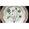 Image 2 : Royal Copenhagen Flora Danica Plate 10" Dia. (20 of 3553)