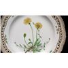 Image 2 : Royal Copenhagen Flora Danica Plate 10" Dia. (20 of 3553)