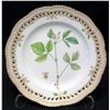 Image 1 : Royal Copenhagen Flora Danica Plate 10" Dia. (20 of 3553)