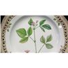 Image 2 : Royal Copenhagen Flora Danica Plate 10" Dia. (20 of 3553)