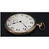 Image 3 : Elgin Pocketwatch (Glass Face Cover Missing)