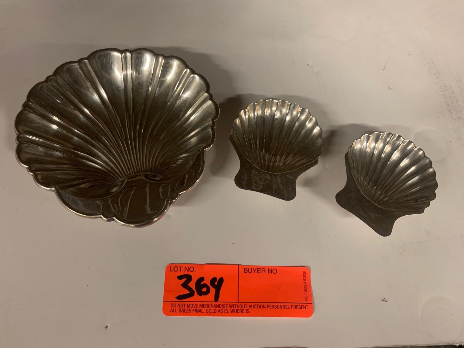 Three Clam Shells 3 Clam Shells: Lrg Shell Bears the Markings