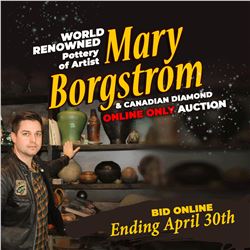 CHECK OUT THE ONCE IN A LIFETIME MARY BORGTROM