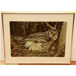 LARGE MATTED FRAMED OWL PRINT