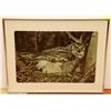 Image 1 : LARGE MATTED FRAMED OWL PRINT