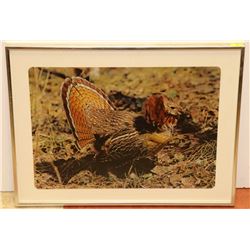 LARGE MATTED AND FRAMED TURKEY PRINT