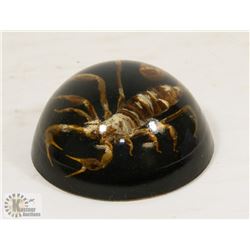 SCORPION PAPER WEIGHT.