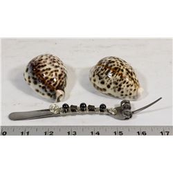 GLOSSY BROWN SPOTTED SEA SHELLS AND DECORATIVE