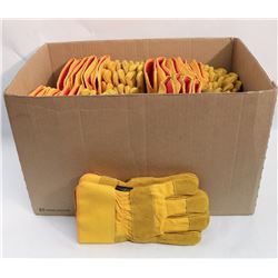 BOX OF 24 YELLOW GLOVES