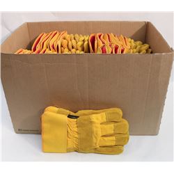 BOX OF 24 YELLOW GLOVES
