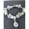 Image 1 : New Pandora style Charm Bracelet