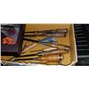 Image 2 : TRAY OF CHISELS AND SCISSORS