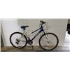 Image 1 : BLUE AND WHITE INFINITY BIKE