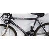 Image 2 : GREY ARASHI BIKE