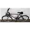 Image 3 : GREY ARASHI BIKE