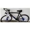Image 3 : FLAT BLACK NO NAME BIKE