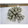 Image 1 : LARGE PIECE OF SEA CORAL - ONE PIECE BROKEN