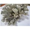 Image 2 : LARGE PIECE OF SEA CORAL - ONE PIECE BROKEN