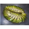 Image 3 : METAL WALL LILLY PAD DECOR AND METAL FISH DISPLAY DECOR