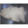 Image 2 : SHEEP SKIN